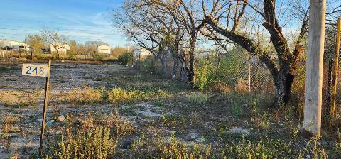 248 VICTORIANO AVE, EAGLE PASS, TX 78852 - Image 1
